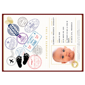 Pasaporte de Vida Personalizable – 10 un